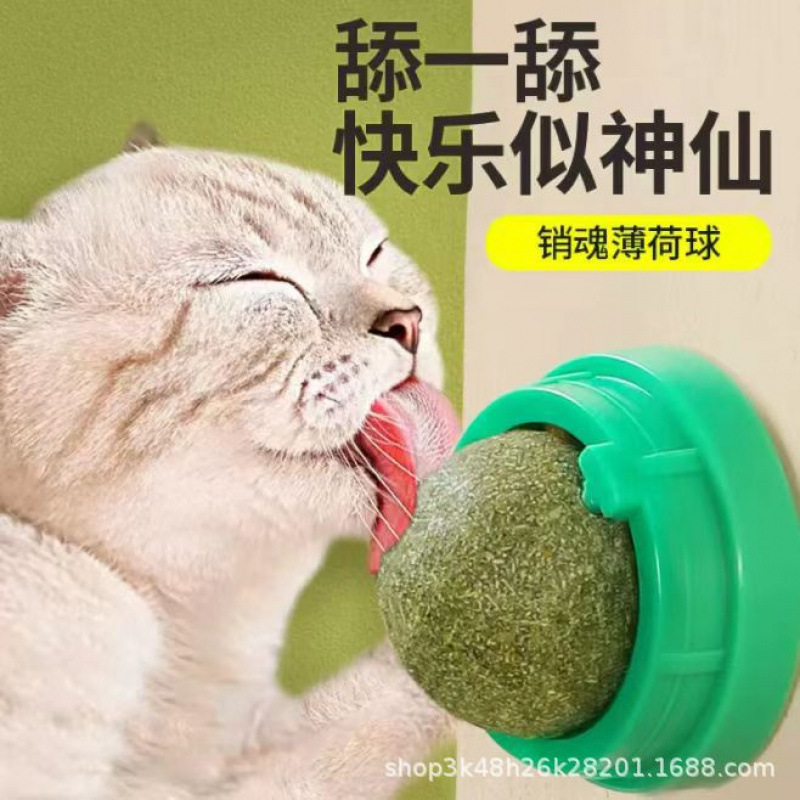 猫薄荷球猫玩具宠物磨牙洁齿耐咬解闷幼猫小猫猫咪自嗨舔舔乐用品